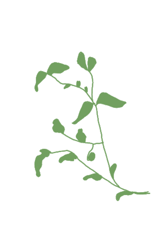 Plants Sticker