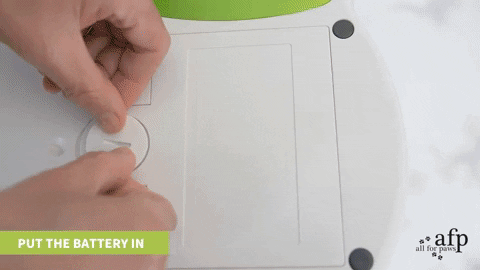 Animated GIF