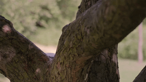 Kelly Kruger GIFs - Get the best GIF on GIPHY