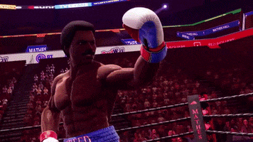 Boxing GIF