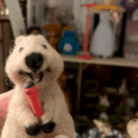 I Fancy You Breaking News GIF