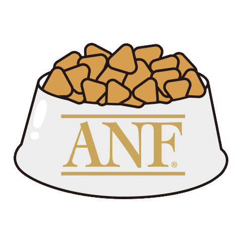 ANF_KOREA Sticker