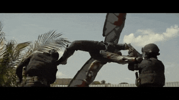metaphor captainamerica GIF