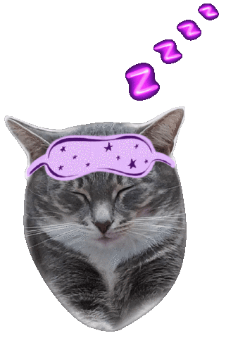 Cat Sticker