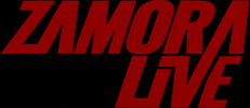 Logo Zl GIF by Zamora Live
