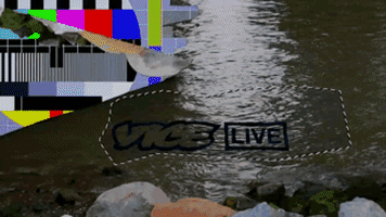 viceland GIF by VICE LIVE