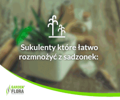 RoåLiny Sukulenty GIF