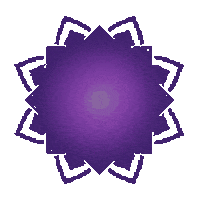 Sticker by Cena Roots