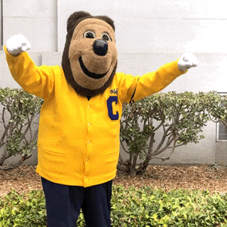 Uc Berkeley GIF by Cal - Find & Share on GIPHY