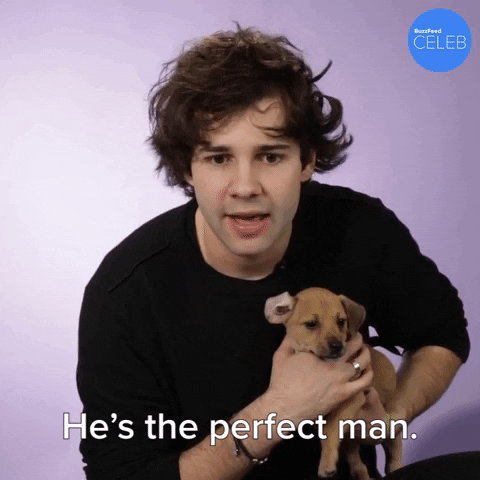 Puppies He Is Perfect GIF by BuzzFeed