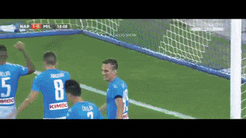 tancredinho  GIF