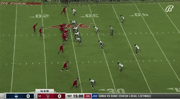 Touchdown GIF