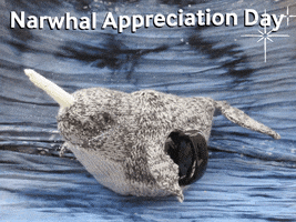 Ocean Life Narwhal GIF by TeaCosyFolk