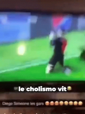 Le Cholismo Nest Pas GIF