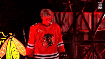 Chicago Blackhawks Hockey GIF