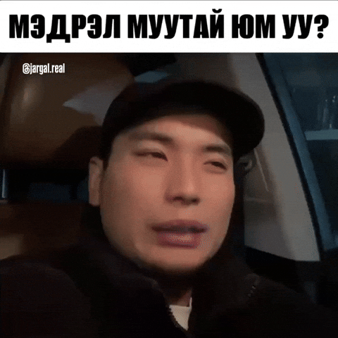 Are You Crazy Mongolia GIF