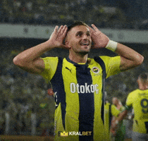 Dusan Tadic GIF by Fenerbahçe