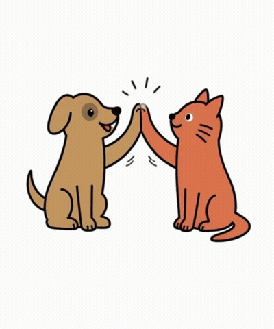 High Five Team Spirit GIF by respekTiere e.V.