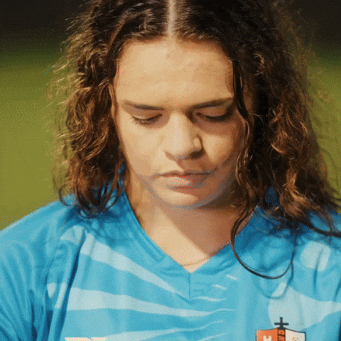 Hudson Valley GIF by Diaza Football