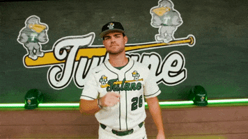 College Baseball Turner GIF by GreenWave