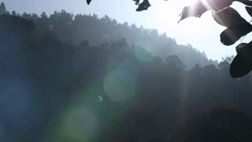 London Campaign GIF