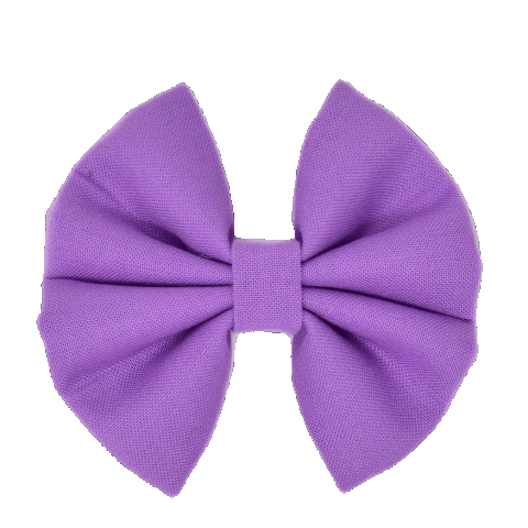 The Itsy Bitsy Bow Co Sticker for iOS & Android | GIPHY The Itsy Bitsy Bow Co Sticker for iOS & Android | GIPHY