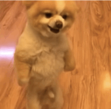 source.gif