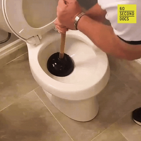 Toilet Bathroom GIF by 60 Second Docs - Find & Share on GIPHY