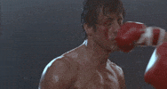 100.gif?cid=20e14a2a17uz8imh5wxb9zl84hktfswfd3eibng594ouu8jh&rid=100.gif&ct=g