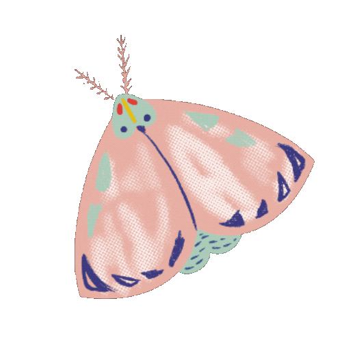 Animated Sticker