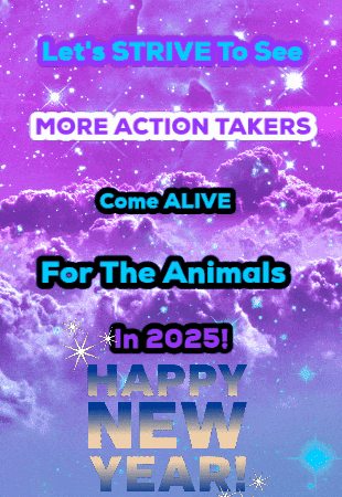 Happynewyear GIF
