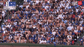 Excited Chicago Cubs GIF