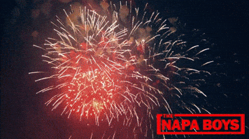 Comedy Yes GIF by Magnolia Pictures