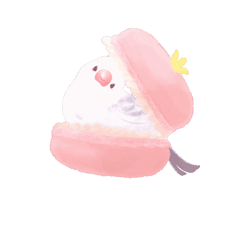 Macaron 花 Sticker