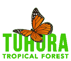 Tropical Forest Butterfly Sticker by Otago Museum