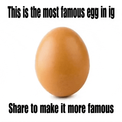 World Record Egg GIF