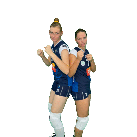 Volleyball Sticker by vdk Gent Damesvolley