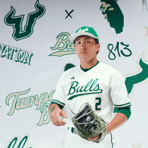 South Florida Baseball GIF by USF Athletics