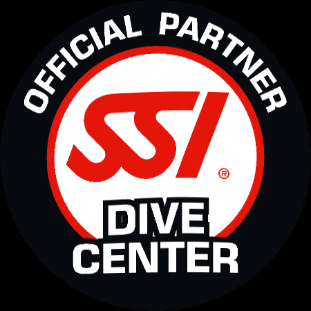 Dive School de Grevelingen GIF