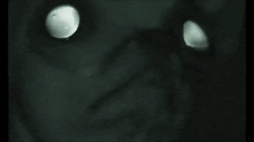 era  GIF