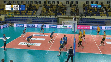 Volleyball Defence GIF by GKS Katowice