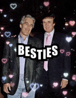 Donald Trump Besties GIF by Respective