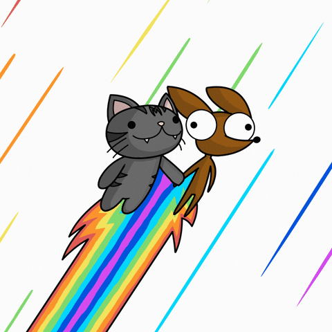 Cartoon gif. Gray cat and brown dog with bulging eyes hold hands as rainbow fuel propels them into a white sky streaked with rainbow colors.
