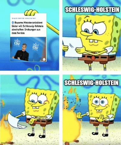 Schleswig-Holstein Sh GIF