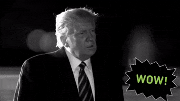 Wow GIF