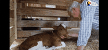 GIF by RootTheFuture