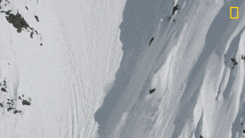 Nat Geo Falling GIF by National Geographic Channel