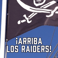 Las Vegas Raiders Sport GIF by Sealed With A GIF