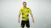 Lucien Favre Gifs Get The Best Gif On Giphy