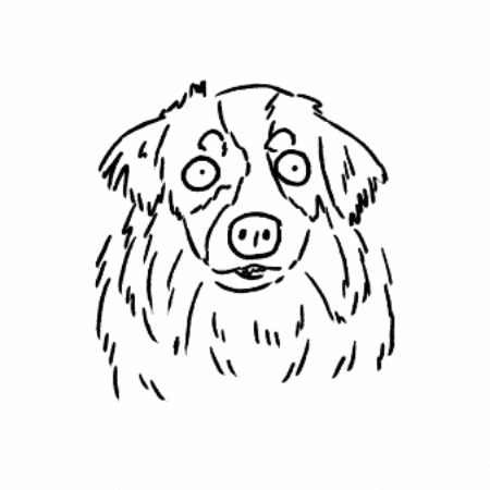 Dog What GIF by butpoorlydrawn